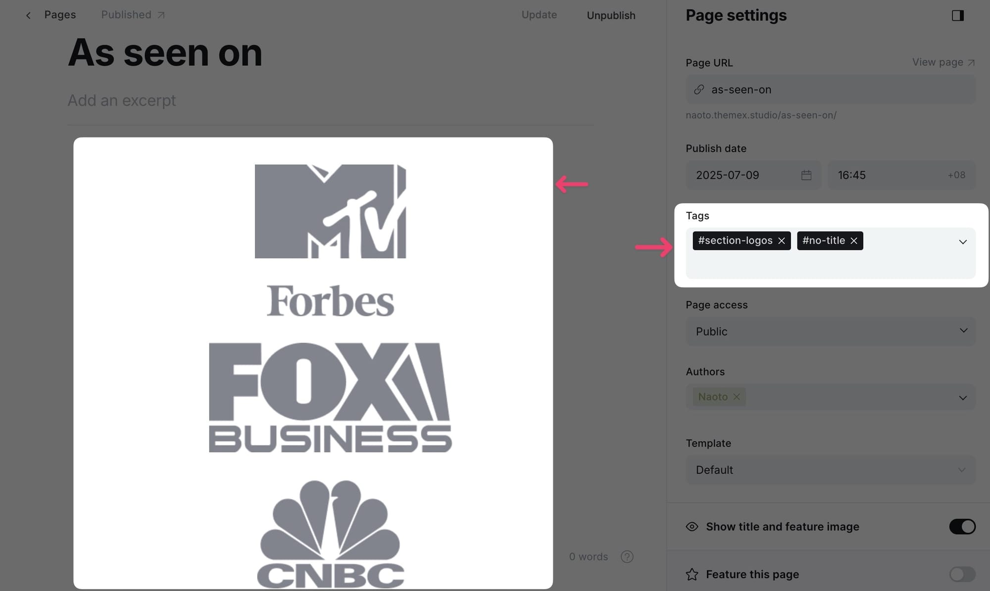 Example of logo section settings