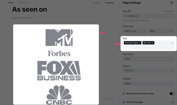 Example of logo section settings